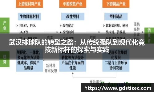 武汉排球队的转型之路：从传统强队到现代化竞技新标杆的探索与实践
