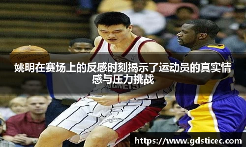 姚明在赛场上的反感时刻揭示了运动员的真实情感与压力挑战