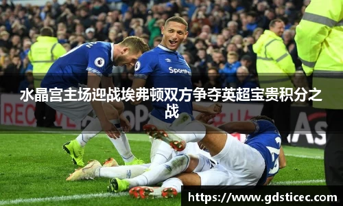 水晶宫主场迎战埃弗顿双方争夺英超宝贵积分之战